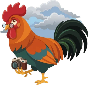 Roosta's rooster: Picture of Sky